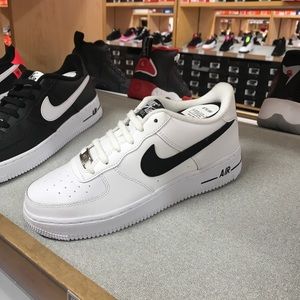 Meet your Posher, Ernesto